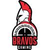 Bravos Gaming